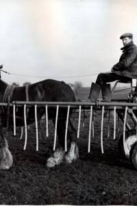 « Poudreuse » de marque Sauvage tractée par un cheval : photographie, sans date.