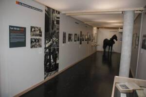 Photographie de l'exposition