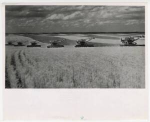 Récolte du blé aux États-Unis, 1987.
