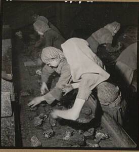 Trieuses de charbon, 1948.