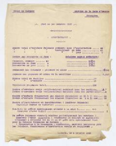 Questionnaire émis par le service de la main-d’œuvre étrangère des mines de Carmaux (Tarn). Document dactylographié, 1922. ANMT 110 AQ 41. Fonds de la société minière Commentry, Fourchambault & Decazeville.