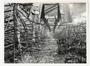 Photographie de l’entrepôt des 3 Suisses ravagé par un incendie, 1966.