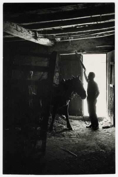 Basses Pyrénées, agriculture de montagne, mars 1964. Crédits : Jacques Windenberger