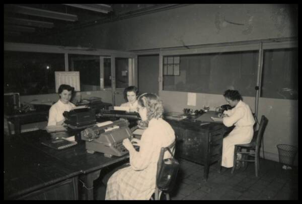 Employées de bureau de la filature Le Blan (Lille, Nord), vers 1955.