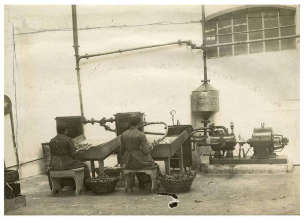 Installation d'enl&egrave;vement des restes par le vide sur les canettes de m&eacute;tiers automatiques, M. Kiener &agrave; &Eacute;loyes (Vosges), d&eacute;but du XXe si&egrave;cle.